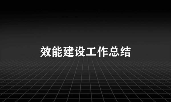 效能建设工作总结