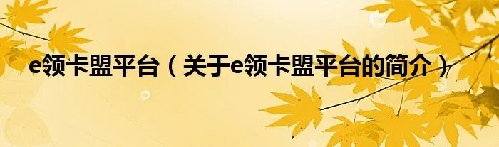 e领卡盟平台（关于e领卡盟平台的简介）