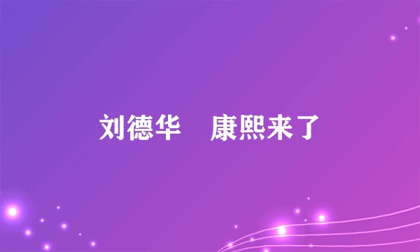 刘德华 康熙来了