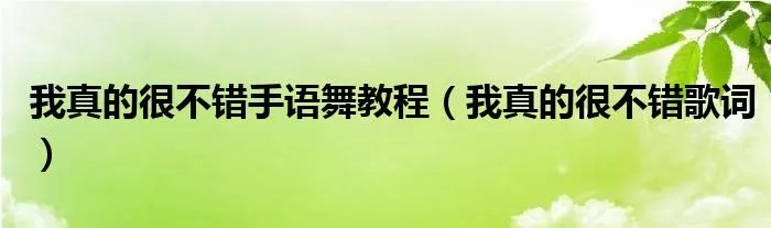 我真的很不错手语舞教程（我真的很不错歌词）