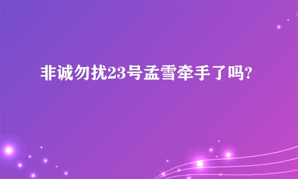 非诚勿扰23号孟雪牵手了吗?