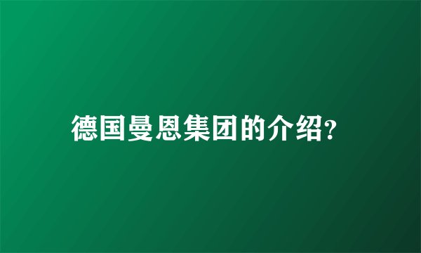 德国曼恩集团的介绍？