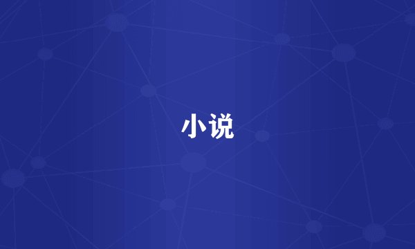 小说