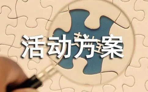 双11活动方案