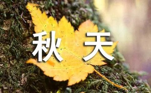 课文《秋天的图画》教学反思