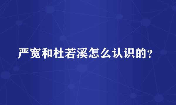 严宽和杜若溪怎么认识的？