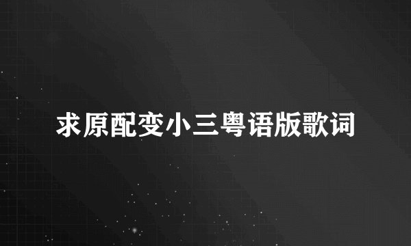 求原配变小三粤语版歌词