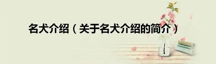 名犬介绍(关于名犬介绍的简介)