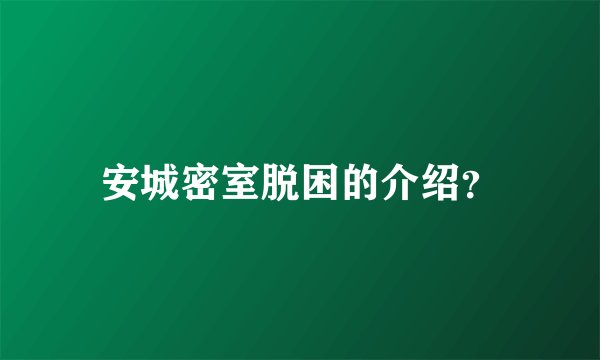 安城密室脱困的介绍？