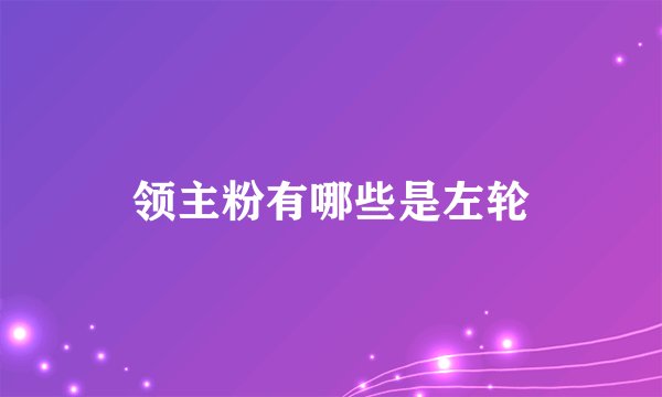 领主粉有哪些是左轮