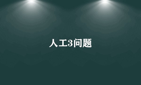 人工3问题