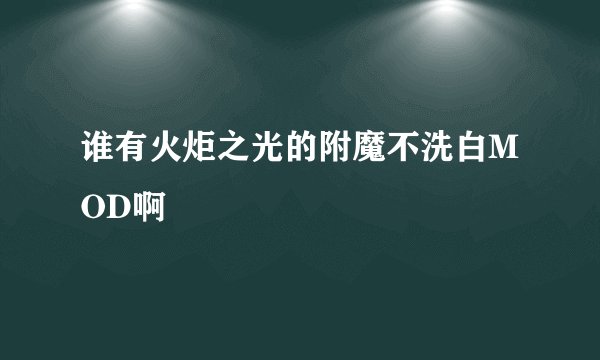 谁有火炬之光的附魔不洗白MOD啊