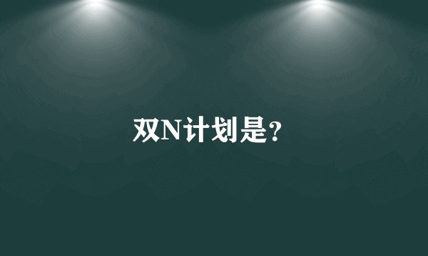 双N计划是？