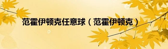 范霍伊顿克任意球（范霍伊顿克）