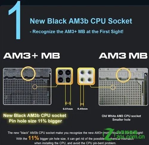 socket am3+与socket am3有什么区别