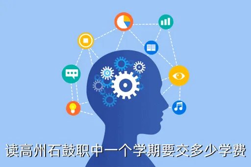 石鼓职中,高州石鼓有几间职中