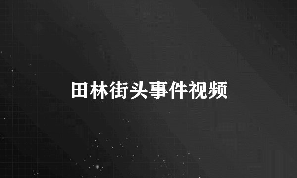 田林街头事件视频