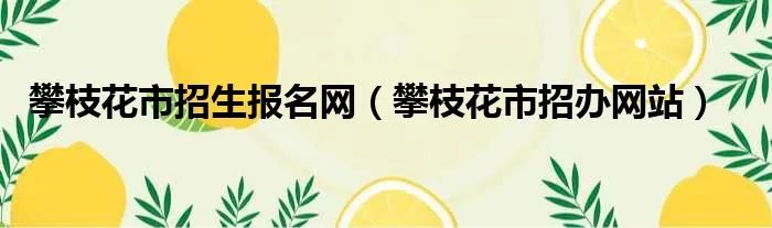 攀枝花市招生报名网（攀枝花市招办网站）