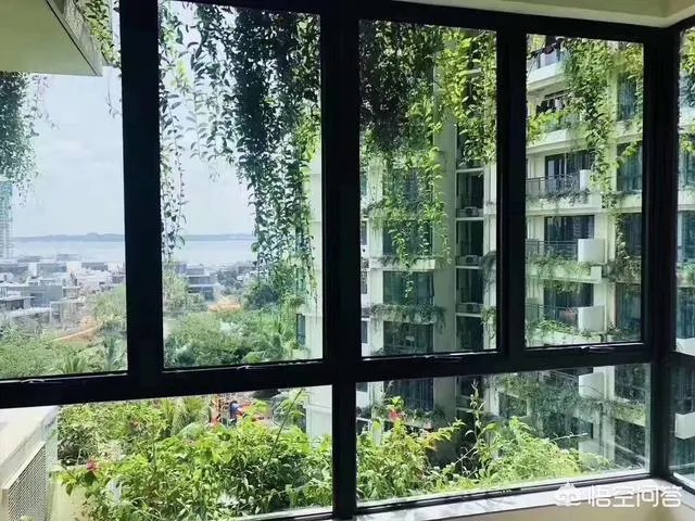 碧桂园森林城市到底是一个什么样的项目？