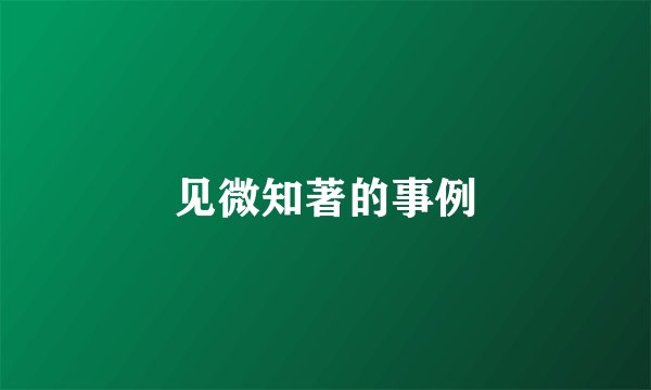 见微知著的事例