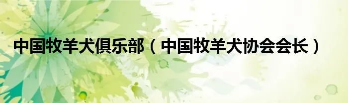 中国牧羊犬俱乐部（中国牧羊犬协会会长）