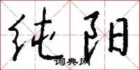 纯阳