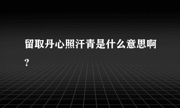留取丹心照汗青是什么意思啊？
