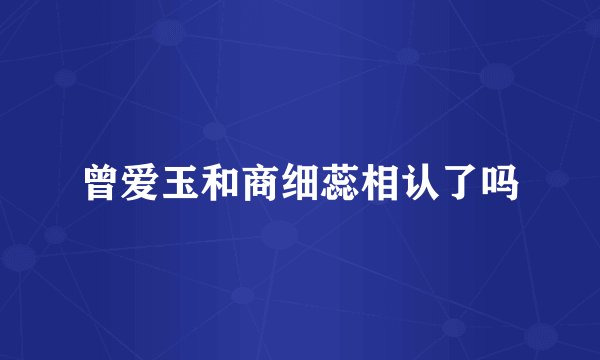 曾爱玉和商细蕊相认了吗