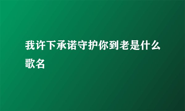 我许下承诺守护你到老是什么歌名