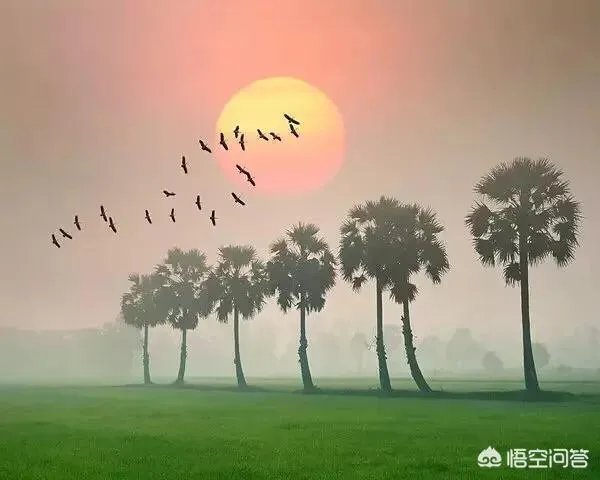 宽容是什么?