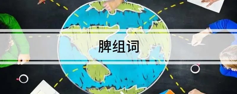 脾组词
