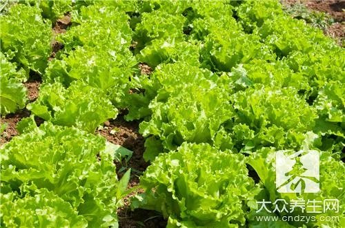 10种最宜经常食用的蔬菜