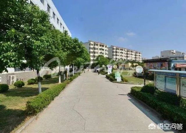 南京中医药大学怎么样?