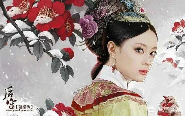 如何评价《甄嬛传》?
