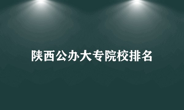 陕西公办大专院校排名
