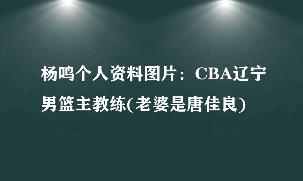 杨鸣个人资料图片:CBA辽宁男篮主教练(老婆是唐佳良)