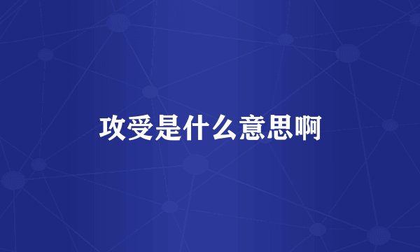 攻受是什么意思啊