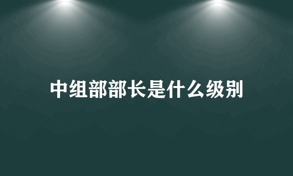 中组部部长是什么级别