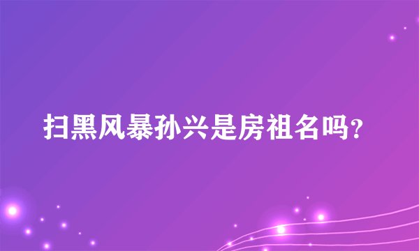 扫黑风暴孙兴是房祖名吗？