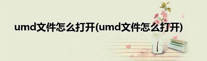 umd文件怎么打开(umd文件怎么打开)