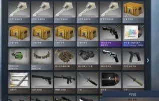 k神csgo哪个战队的