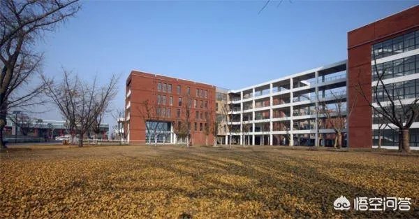 南京中医药大学怎么样?