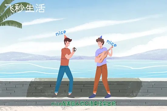 nice什么意思