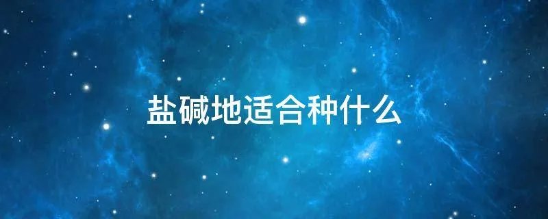 盐碱地适合种什么