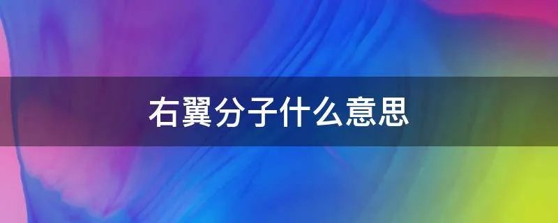 右翼分子什么意思