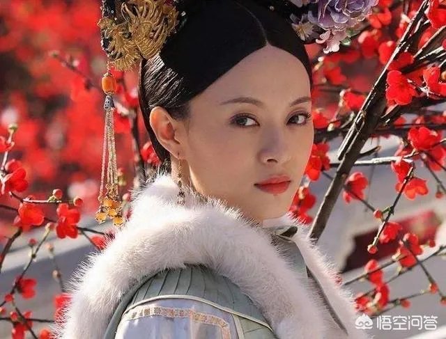 如何评价《甄嬛传》?