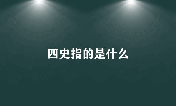 四史指的是什么
