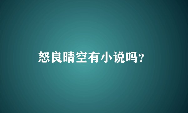 怒良晴空有小说吗?