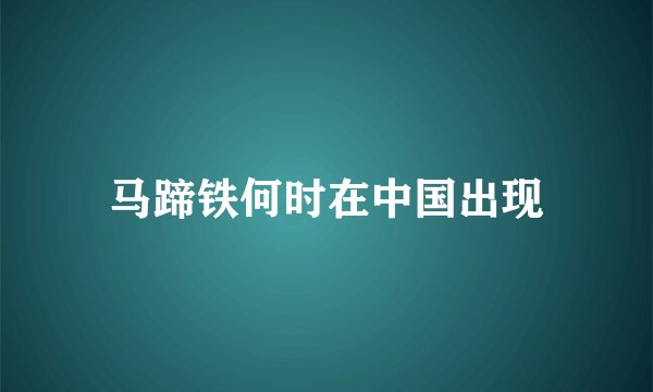 马蹄铁何时在中国出现