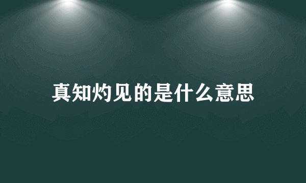 真知灼见的是什么意思